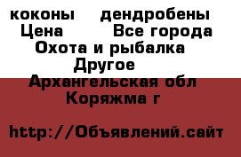 коконы    дендробены › Цена ­ 25 - Все города Охота и рыбалка » Другое   . Архангельская обл.,Коряжма г.